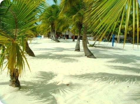 Catuano Beach - Saona Island
