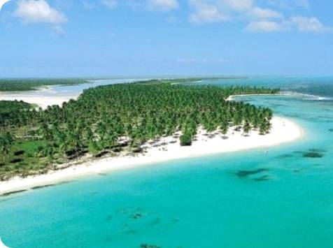 Canto de la Playa - Saona Island