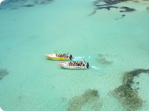 Piscina Natural - Saona Island