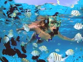 Snorkeling Catuano - Saona Island