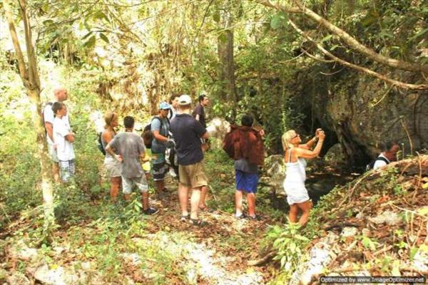 Dry Tropical Rainforest - Jungle Eco Tour
