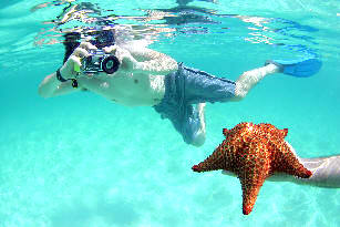 Starfish - Saona Island