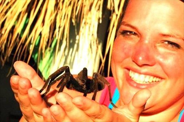 The pet tarantula