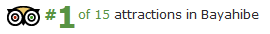 tripadvisor 1 selection